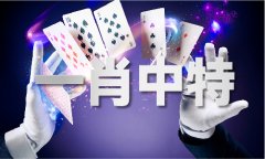 波西亚手艺材料怎
