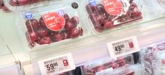 609万、126%、513%！透过数字读懂平易近营企业外贸